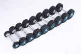 Гантели в уретане LIVEPRO Studio Dumbbells 10 кг, черный/синий