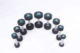 Гантели в уретане LIVEPRO Studio Dumbbells 10 кг, черный/синий