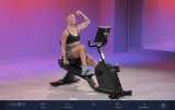 Schwinn 590R Горизонтальный велотренажер